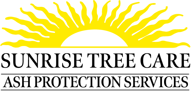Sunrise Ash Protection